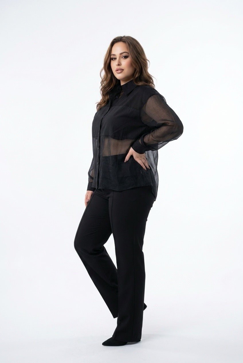 Black Sheer Long-Sleeve Button-Down Shirt