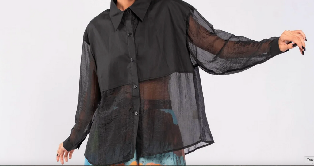 Black Sheer Long-Sleeve Button-Down Shirt