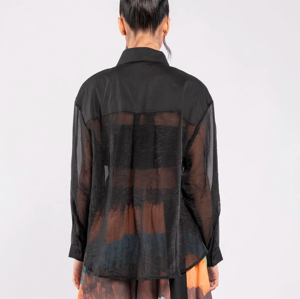 Black Sheer Long-Sleeve Button-Down Shirt